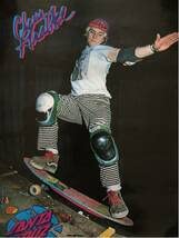 ビンテージ サンタクルーズ SANTACRUZ バナー ポスター SANTA CRUZ Santa Cruz (サンタクルーズ) バナー 壁掛け 大判